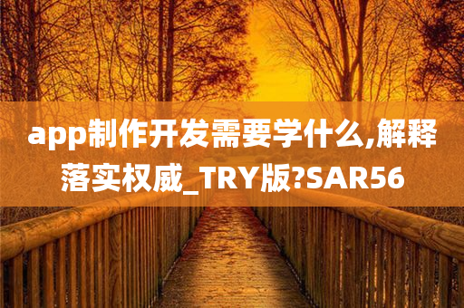 app制作开发需要学什么,解释落实权威_TRY版?SAR56