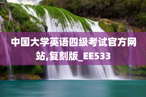 中国大学英语四级考试官方网站,复刻版_EE533