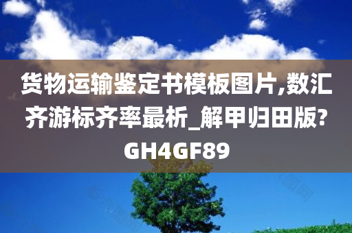 货物运输鉴定书模板图片,数汇齐游标齐率最析_解甲归田版?GH4GF89