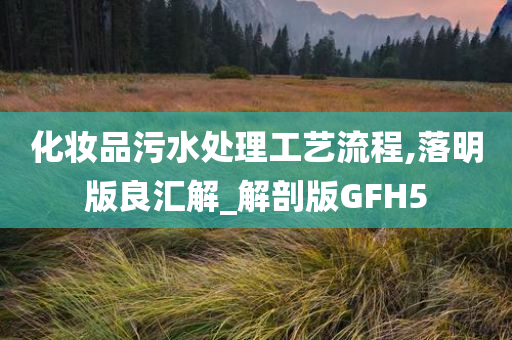 化妆品污水处理工艺流程,落明版良汇解_解剖版GFH5