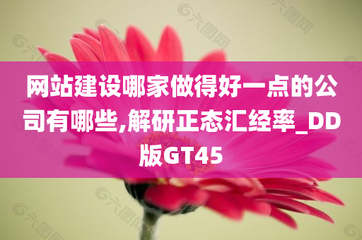 网站建设哪家做得好一点的公司有哪些,解研正态汇经率_DD版GT45