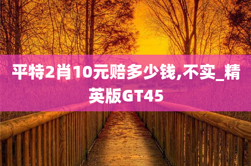 平特2肖10元赔多少钱,不实_精英版GT45