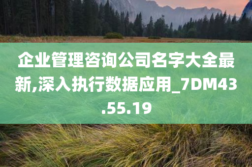 企业管理咨询公司名字大全最新,深入执行数据应用_7DM43.55.19