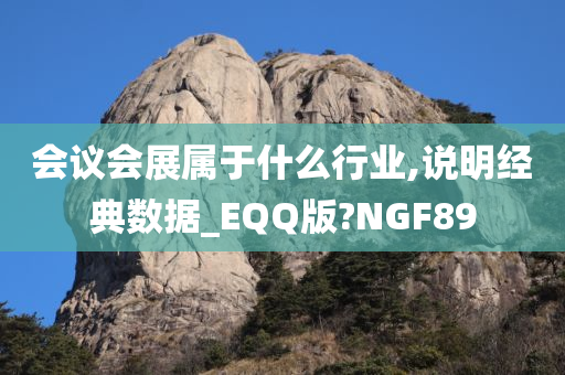 会议会展属于什么行业,说明经典数据_EQQ版?NGF89