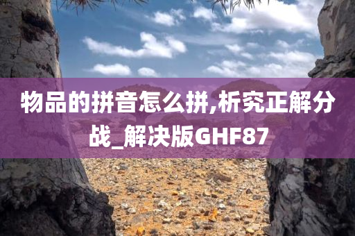 物品的拼音怎么拼,析究正解分战_解决版GHF87