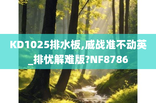 KD1025排水板,威战准不动英_排忧解难版?NF8786