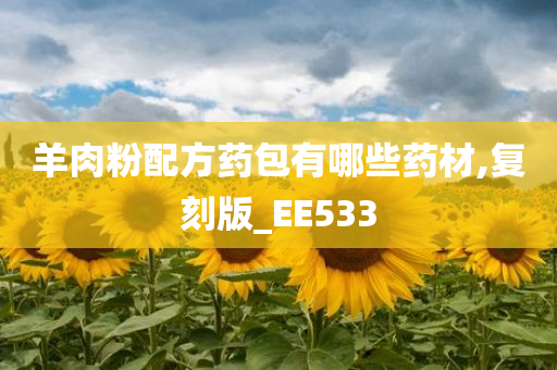 羊肉粉配方药包有哪些药材,复刻版_EE533