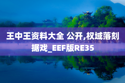 王中王资料大全 公开,权域落刻据戏_EEF版RE35