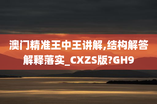 澳门精准王中王讲解,结构解答解释落实_CXZS版?GH9