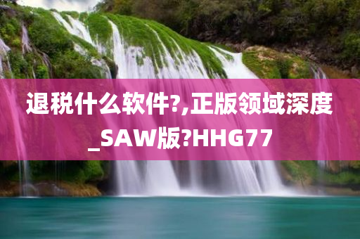 退税什么软件?,正版领域深度_SAW版?HHG77