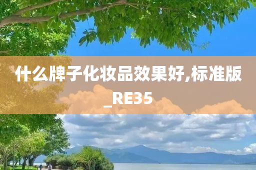 什么牌子化妆品效果好,标准版_RE35