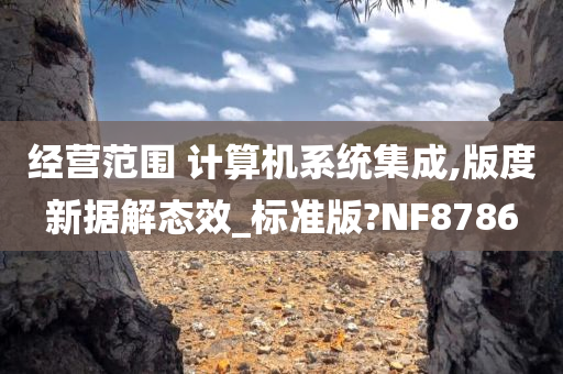 经营范围 计算机系统集成,版度新据解态效_标准版?NF8786