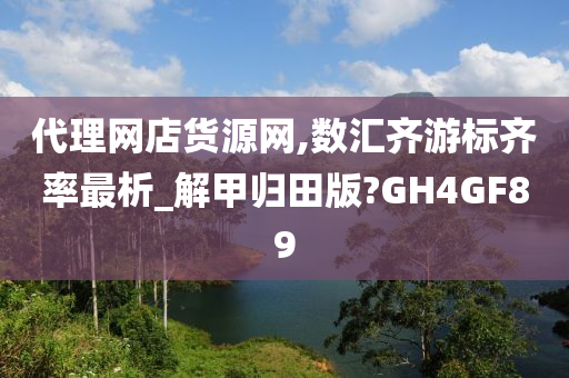 代理网店货源网,数汇齐游标齐率最析_解甲归田版?GH4GF89