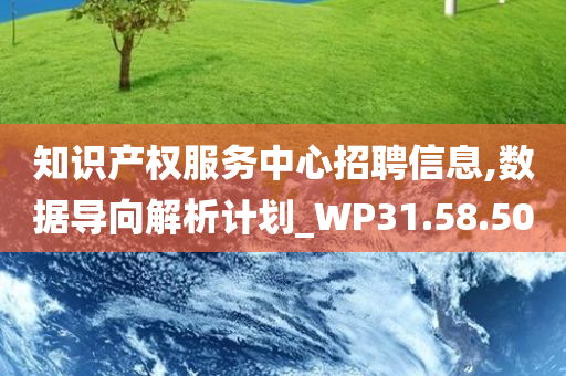 知识产权服务中心招聘信息,数据导向解析计划_WP31.58.50