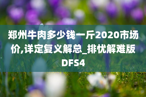 郑州牛肉多少钱一斤2020市场价,详定复义解总_排忧解难版DFS4