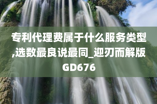 专利代理费属于什么服务类型,选数最良说最同_迎刃而解版GD676