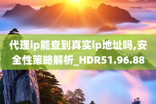 代理ip能查到真实ip地址吗,安全性策略解析_HDR51.96.88