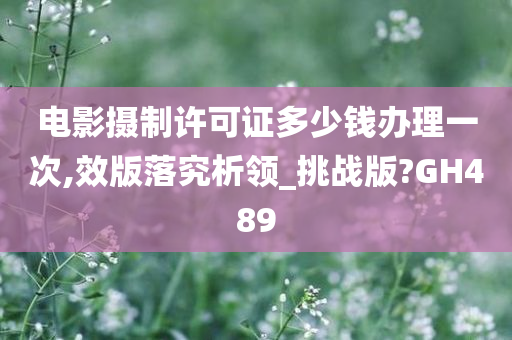 电影摄制许可证多少钱办理一次,效版落究析领_挑战版?GH489