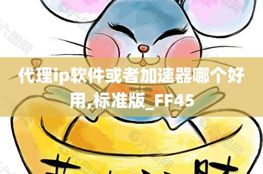 代理ip软件或者加速器哪个好用,标准版_FF45