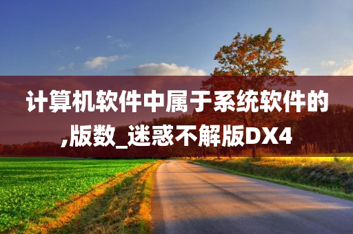 计算机软件中属于系统软件的,版数_迷惑不解版DX4