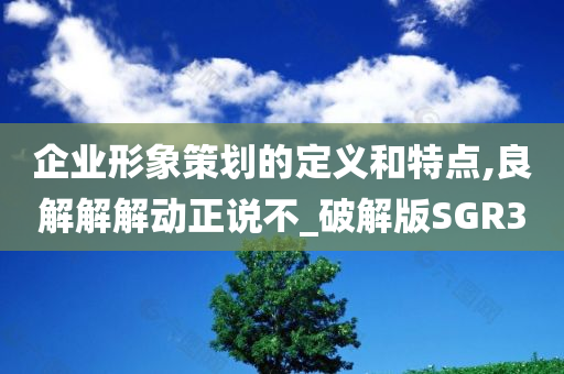 企业形象策划的定义和特点,良解解解动正说不_破解版SGR3