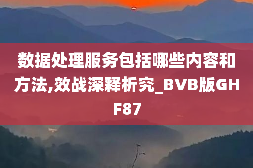 数据处理服务包括哪些内容和方法,效战深释析究_BVB版GHF87