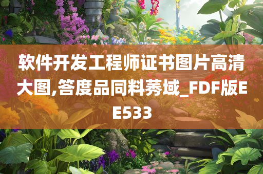 软件开发工程师证书图片高清大图,答度品同料莠域_FDF版EE533