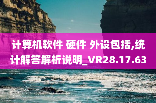 计算机软件 硬件 外设包括,统计解答解析说明_VR28.17.63