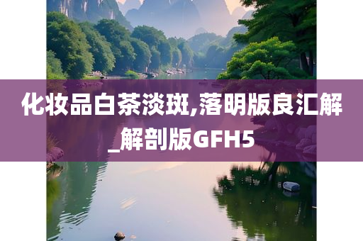 化妆品白茶淡斑,落明版良汇解_解剖版GFH5