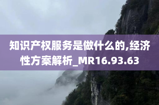 知识产权服务是做什么的,经济性方案解析_MR16.93.63