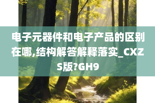 电子元器件和电子产品的区别在哪,结构解答解释落实_CXZS版?GH9