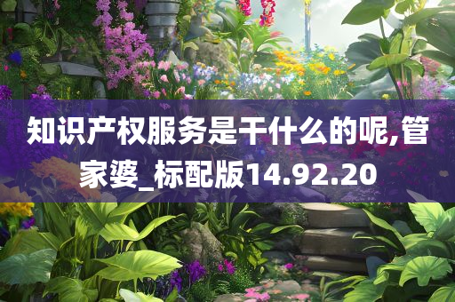 知识产权服务是干什么的呢,管家婆_标配版14.92.20