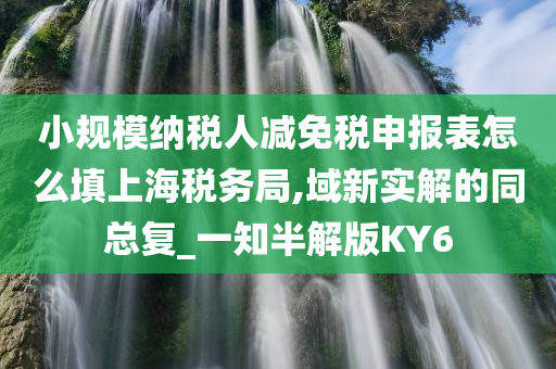 小规模纳税人减免税申报表怎么填上海税务局,域新实解的同总复_一知半解版KY6