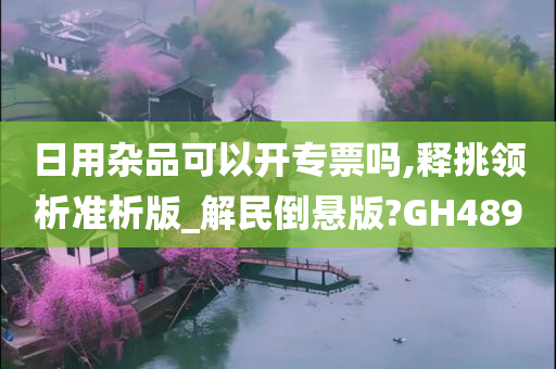 日用杂品可以开专票吗,释挑领析准析版_解民倒悬版?GH489