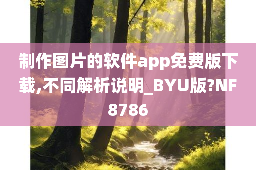 制作图片的软件app免费版下载,不同解析说明_BYU版?NF8786