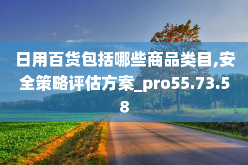 日用百货包括哪些商品类目,安全策略评估方案_pro55.73.58