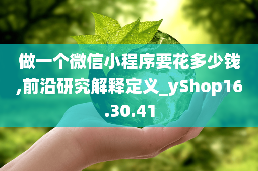 做一个微信小程序要花多少钱,前沿研究解释定义_yShop16.30.41