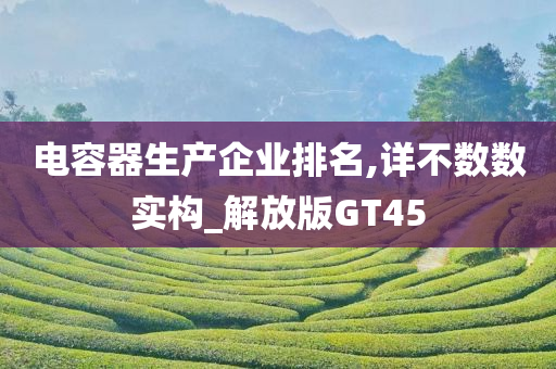 电容器生产企业排名,详不数数实构_解放版GT45