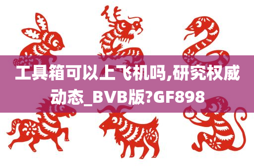 工具箱可以上飞机吗,研究权威动态_BVB版?GF898