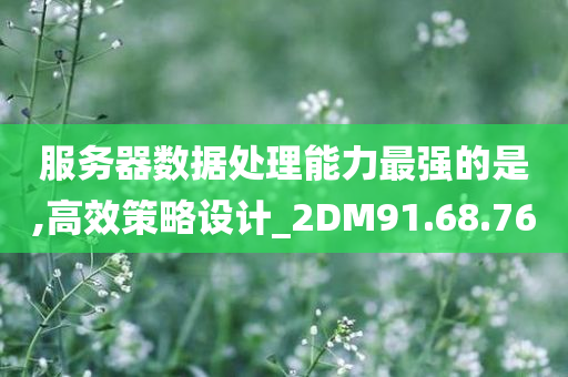 服务器数据处理能力最强的是,高效策略设计_2DM91.68.76