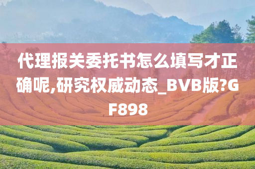 代理报关委托书怎么填写才正确呢,研究权威动态_BVB版?GF898