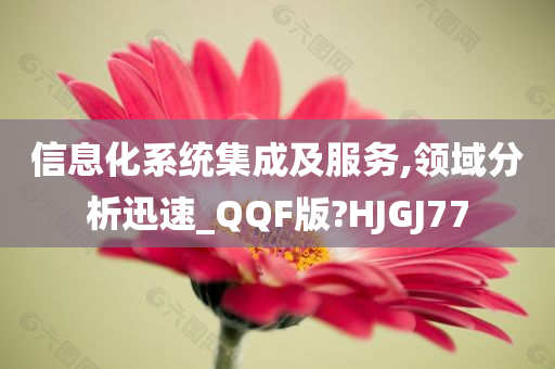 信息化系统集成及服务,领域分析迅速_QQF版?HJGJ77