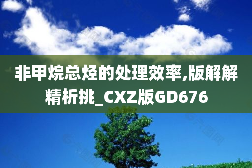 非甲烷总烃的处理效率,版解解精析挑_CXZ版GD676