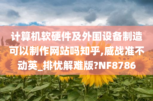 计算机软硬件及外围设备制造可以制作网站吗知乎,威战准不动英_排忧解难版?NF8786