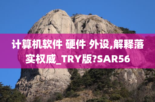 计算机软件 硬件 外设,解释落实权威_TRY版?SAR56