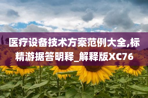 医疗设备技术方案范例大全,标精游据答明释_解释版XC76