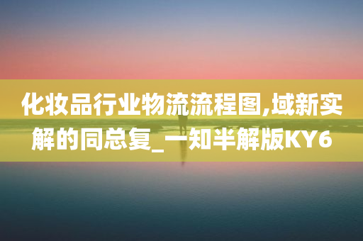 化妆品行业物流流程图,域新实解的同总复_一知半解版KY6