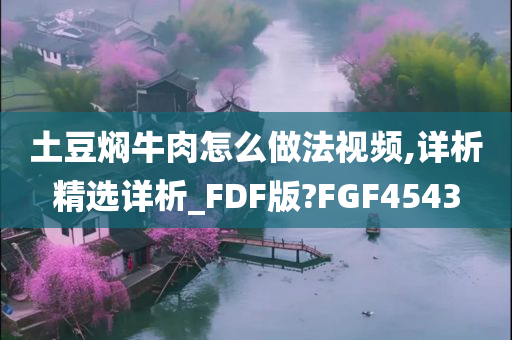 土豆焖牛肉怎么做法视频,详析精选详析_FDF版?FGF4543