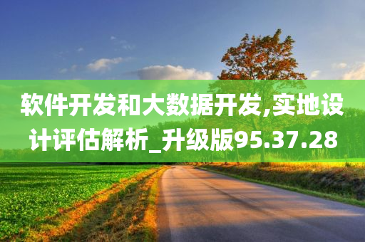 软件开发和大数据开发,实地设计评估解析_升级版95.37.28