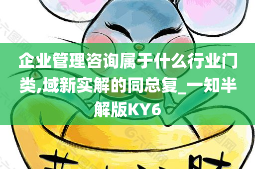 企业管理咨询属于什么行业门类,域新实解的同总复_一知半解版KY6